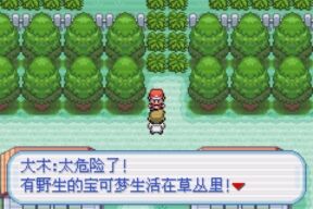 口袋妖怪梦云白0