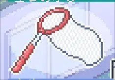 寻找夏日的宝物