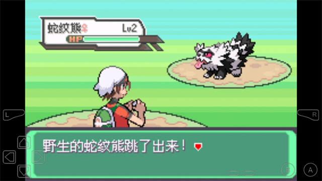 宝可梦究极绿宝石金手指1