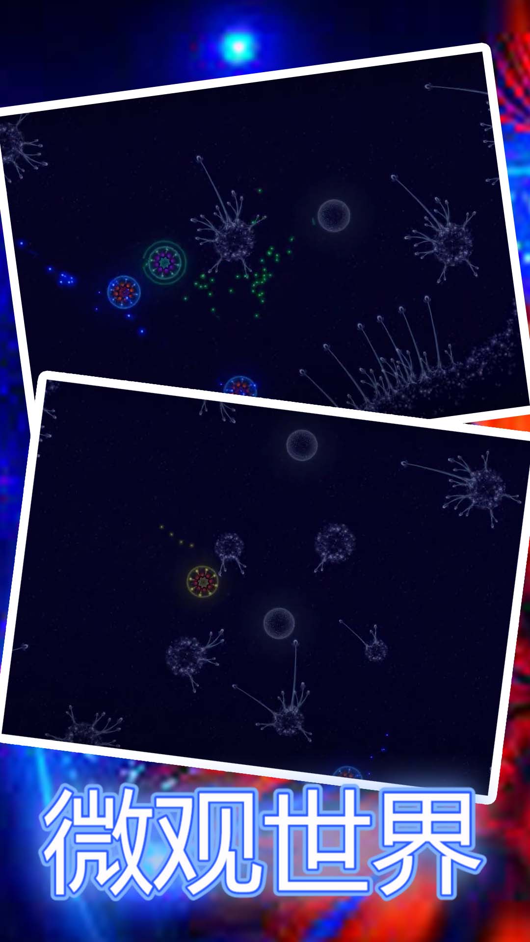 微观世界2