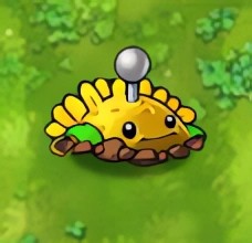 植物融合效果配图7