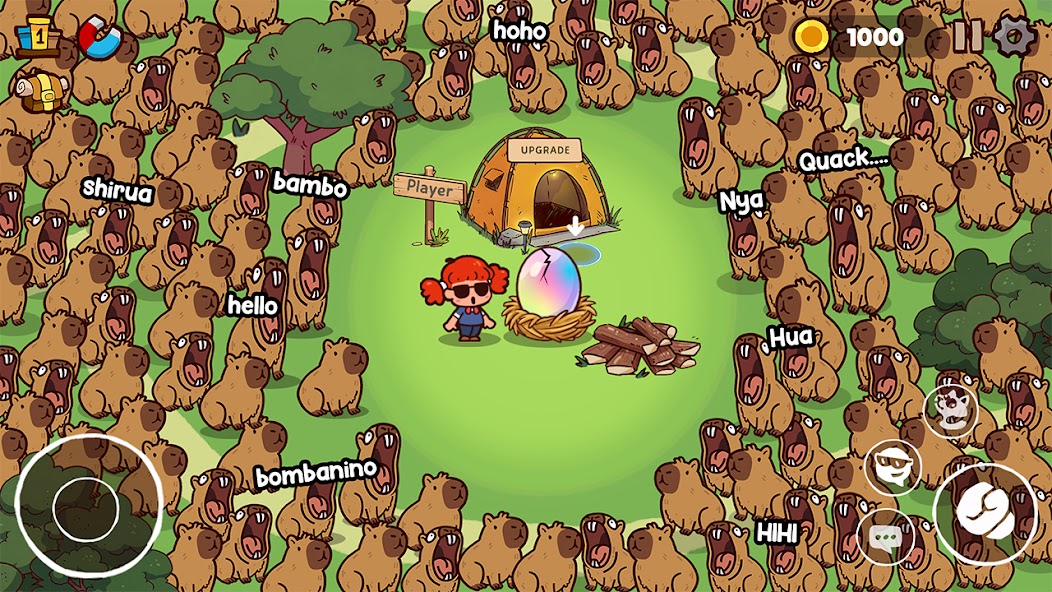 动物园之声36244