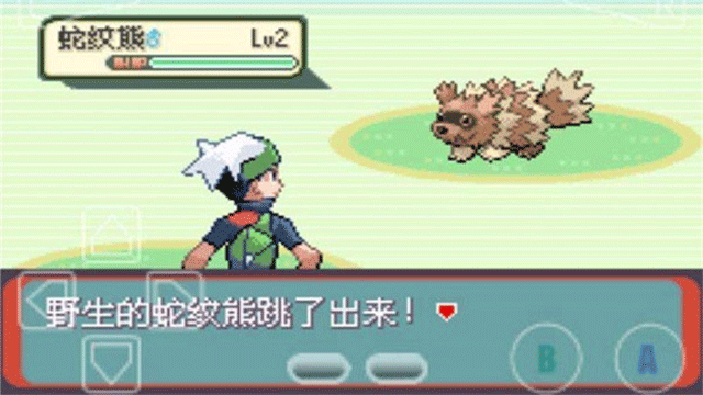 精灵宝可梦绿宝石36260