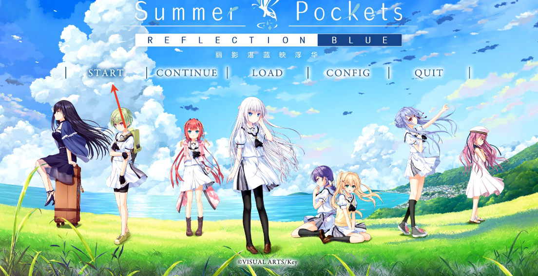 夏日口袋安卓版