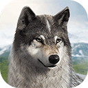 狼族崛起最新版