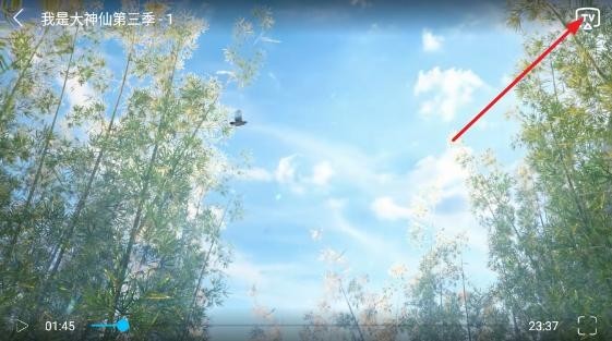 z动漫手机版