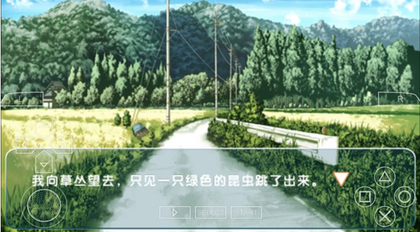 缘之空