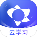 绚星云学习手机版