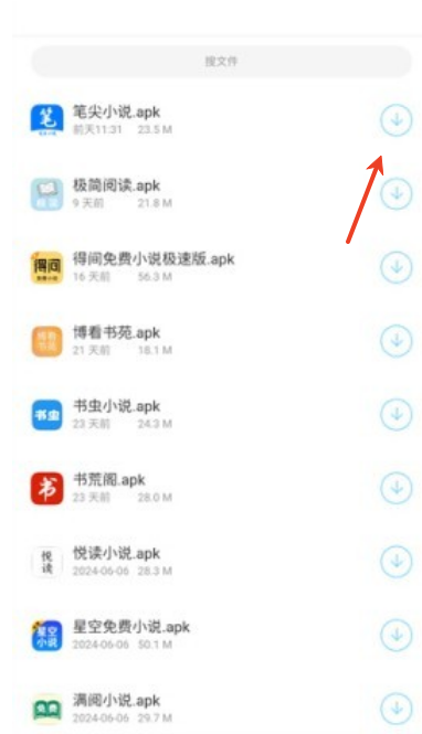胖崽软件库2026