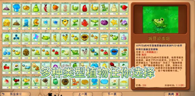 植物大战僵尸花园嘉年华0