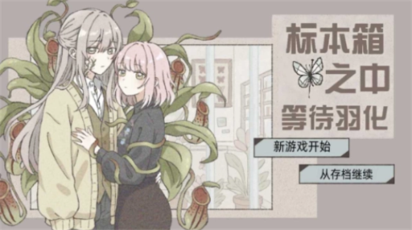 在标本箱中等待羽化