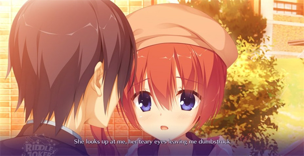 谜语小丑冷狐汉化版0