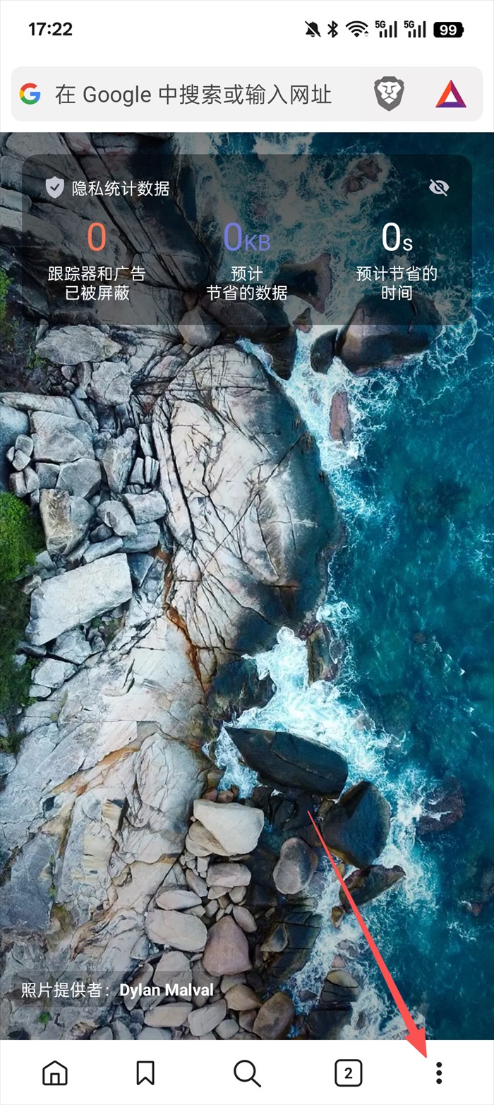 brave浏览器最新版