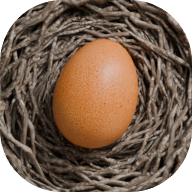 鸡蛋历险记手机版