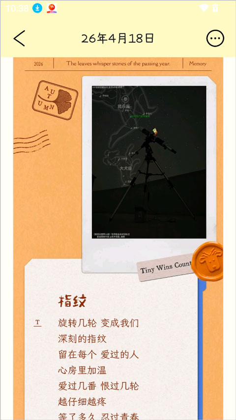 排版小动物tinytype