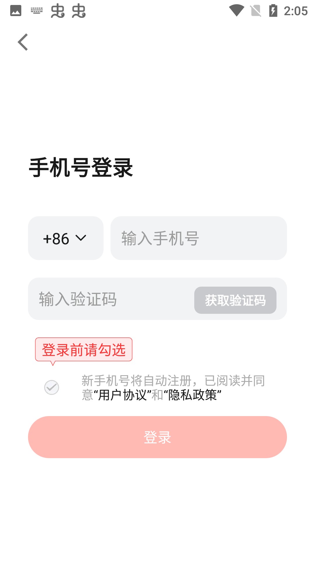 红松极速版