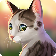 猫救援故事