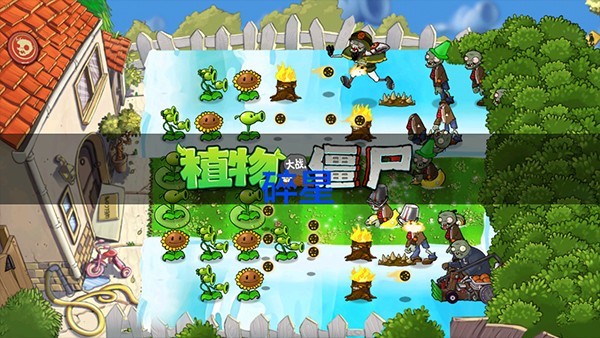 植物大战僵尸仿e支线随机版