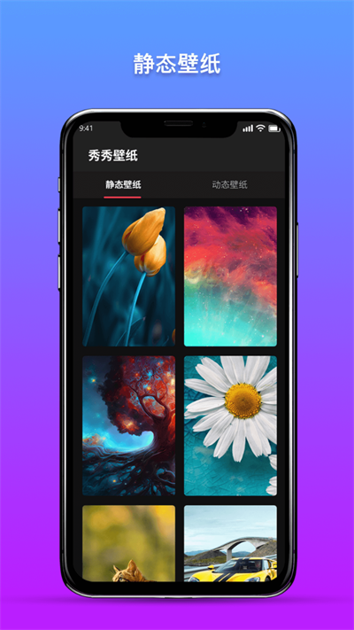 秀秀壁纸1