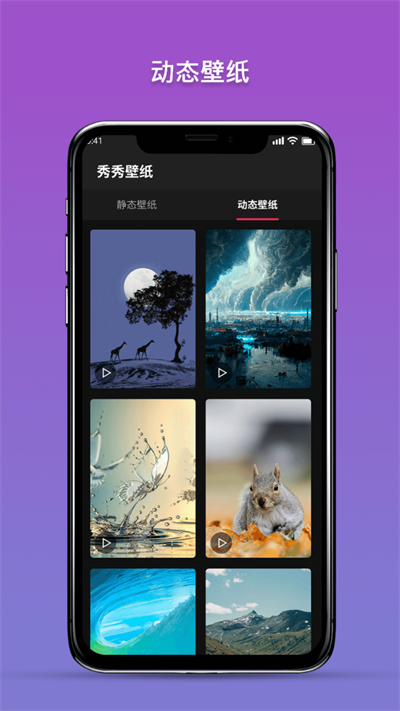 秀秀壁纸0