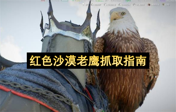 红色沙漠老鹰抓取指南
