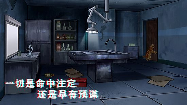密室与猫38431