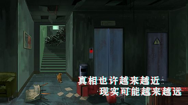 密室与猫38431