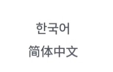 夏末盛开的花galgame