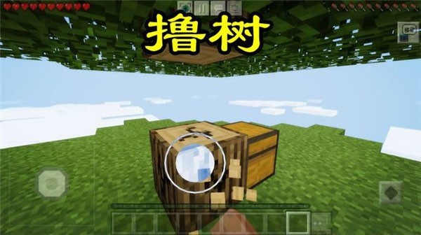 随机空岛生存最新版