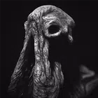 SARCOPH中文版