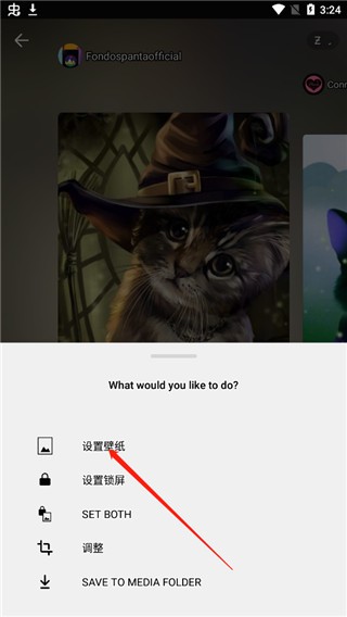 zedge壁纸中文版