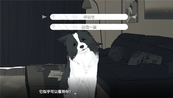 你离开之后全新正版