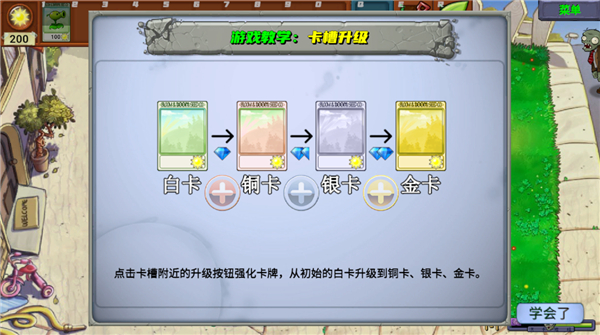 PvZ新指导20260