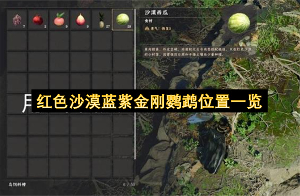 红色沙漠蓝紫金刚鹦鹉位置一览