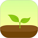 forest专注森林最新版