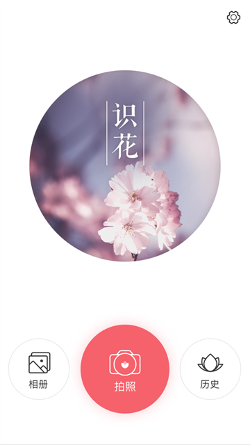 识花app1