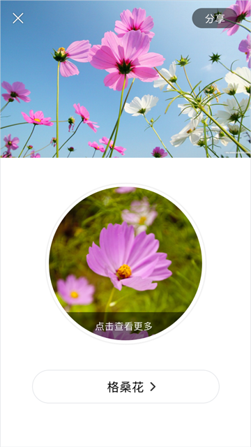 识花app0