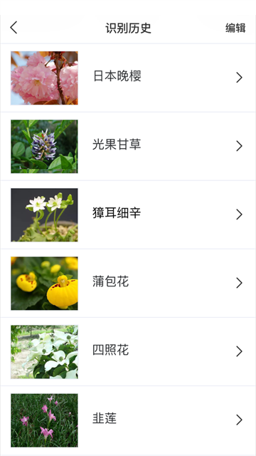 识花app2