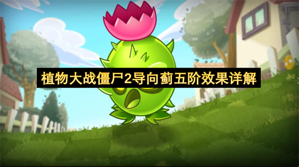 植物大战僵尸2导向蓟五阶效果详解