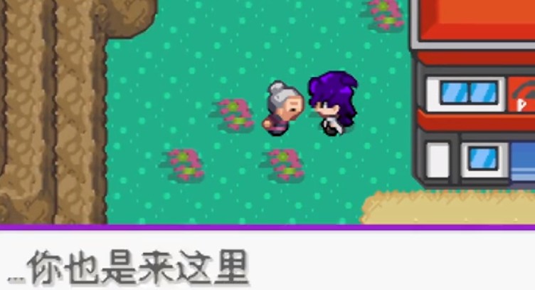 口袋妖怪百万能量汉化版