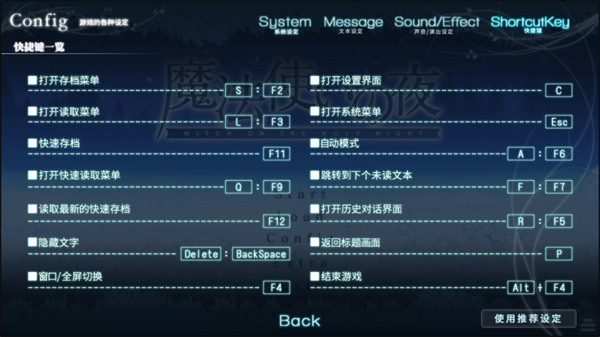 魔法使之夜galgame