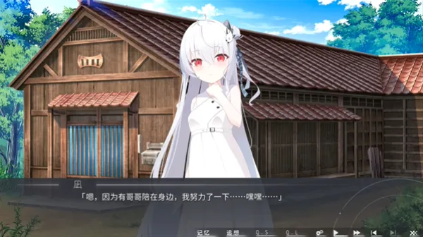 片方的祈愿galgame0