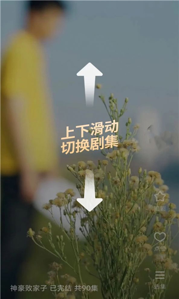 彩金短剧红包版2