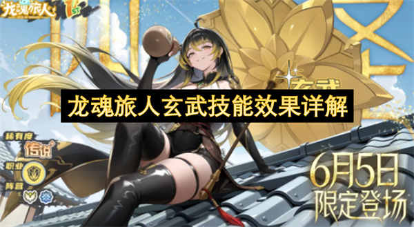 龙魂旅人玄武技能效果详解