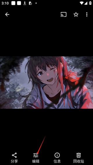 谷歌相册最新版