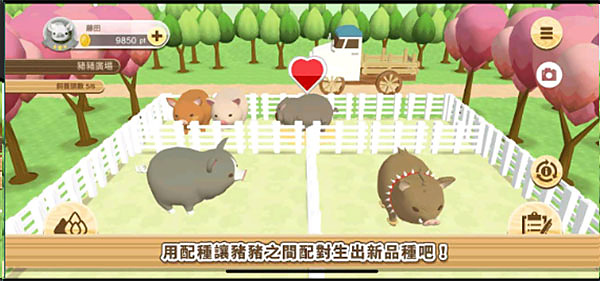 养猪场3D0