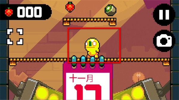 天天飞跃