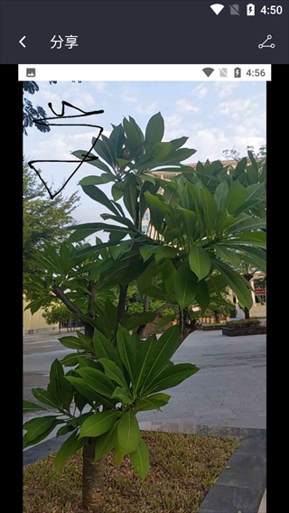 照片水印手机版