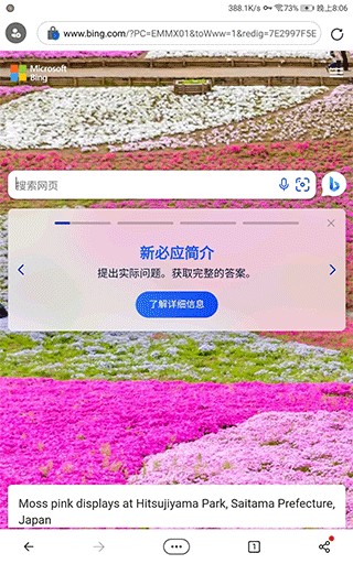 微软必应手机版