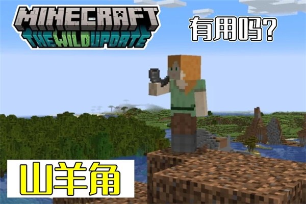 我的世界体验服